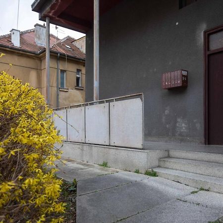 Modern Studio Near British Square Daire Zagreb Dış mekan fotoğraf